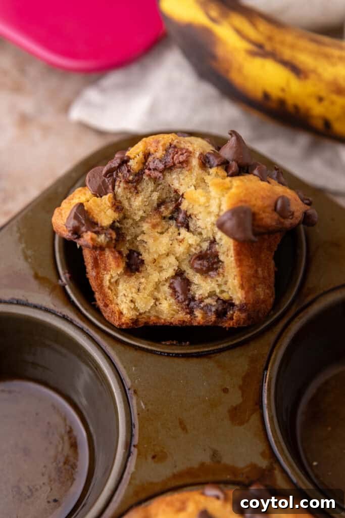 Bake Bakery-Perfect Banana Chocolate Chip Muffins 13 Banana Chocolate Chip Muffins on a pan