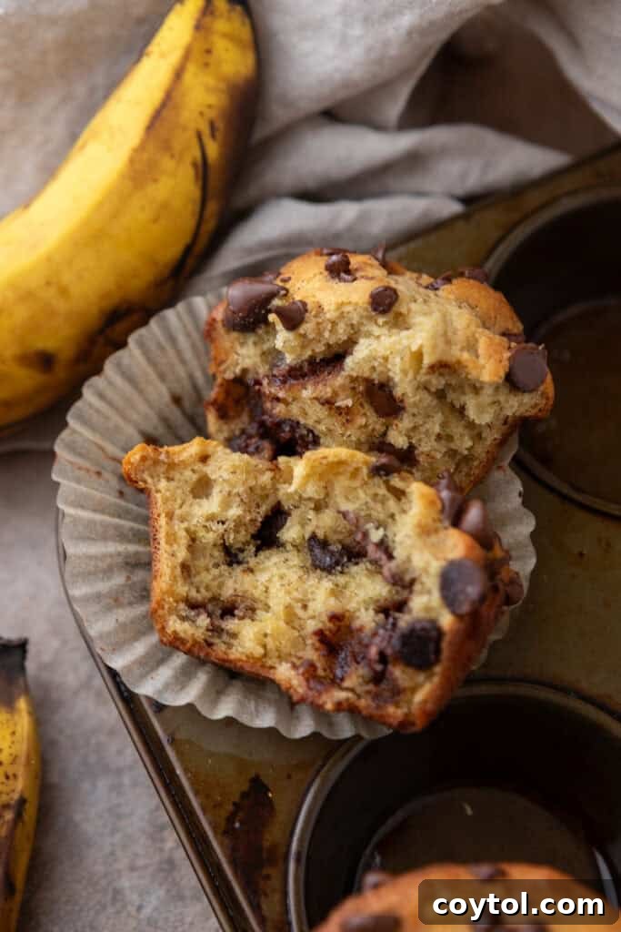 Bake Bakery-Perfect Banana Chocolate Chip Muffins 14 Banana Chocolate Chip Muffins on a pan