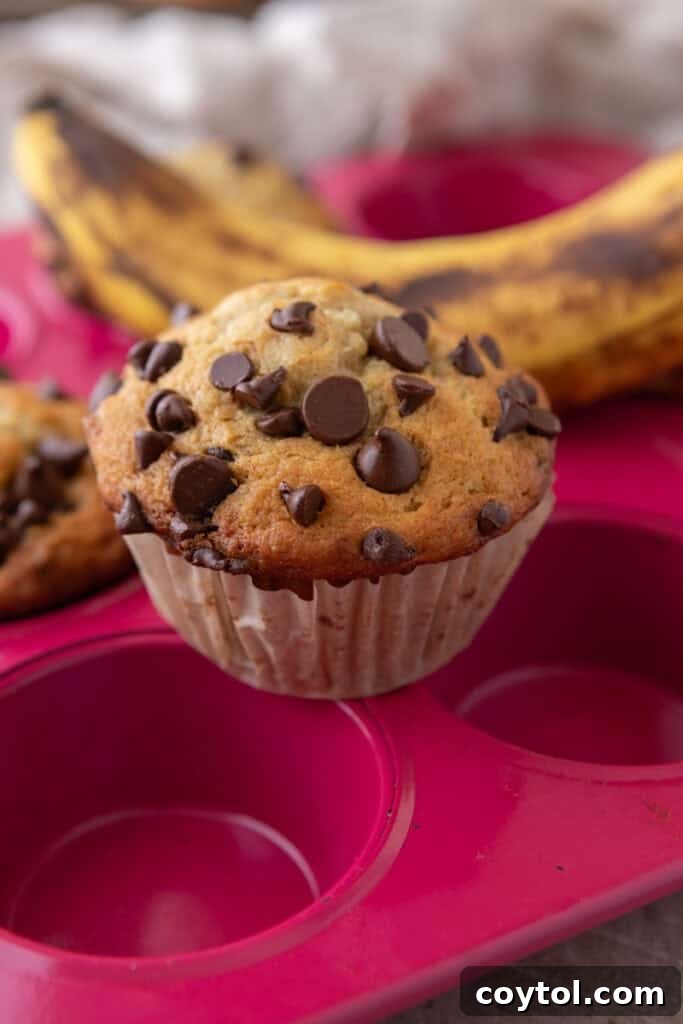 Bake Bakery-Perfect Banana Chocolate Chip Muffins 4 Banana chocolate chip muffins on a baking sheet