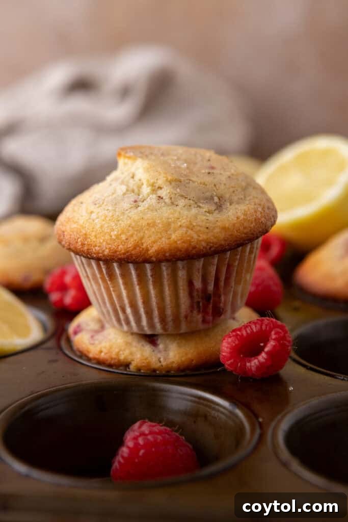 Raspberry Lemon muffins close up