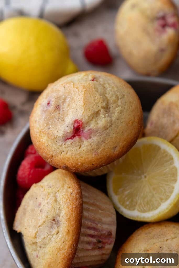 Lemon Raspberry muffins recipe overhead shot
