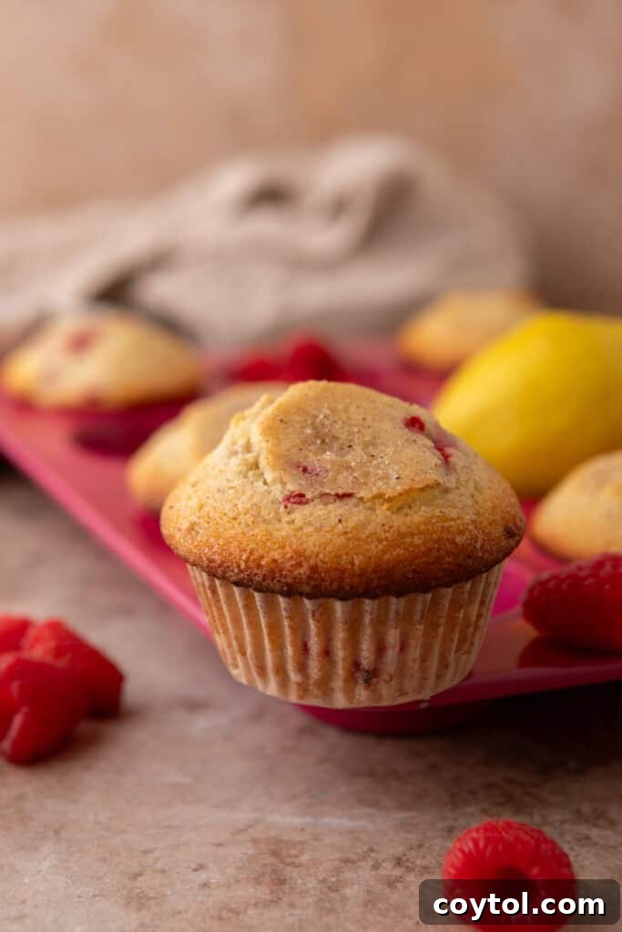 Lemon Raspberry muffins close up