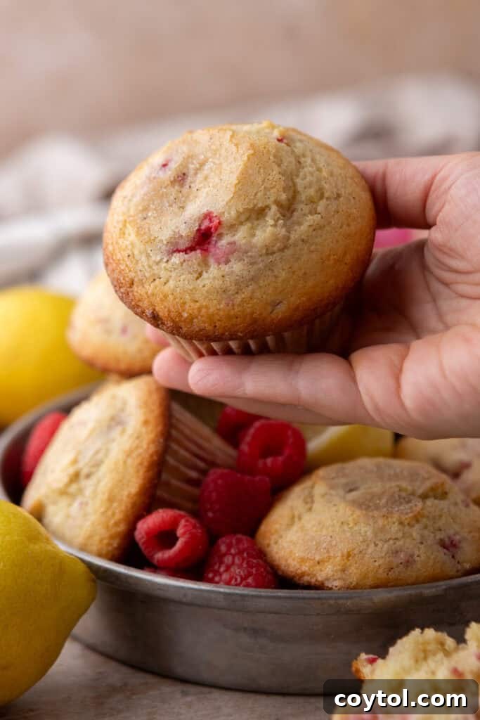 Lemon Raspberry muffins being held up by a hand
