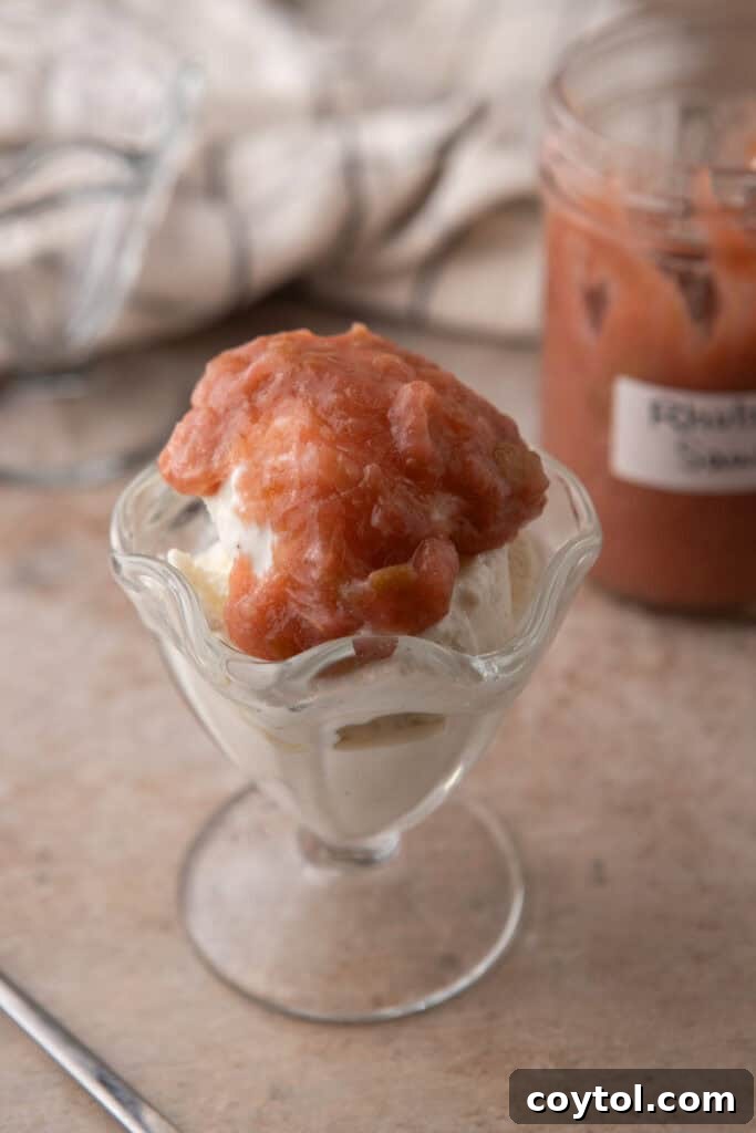 Homemade Rhubarb Sauce Recipe on an ice cream scoop, ready to be served over dessert.