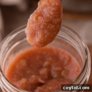 Homemade rhubarb sauce in a jar on a spoon, showcasing its rich color.