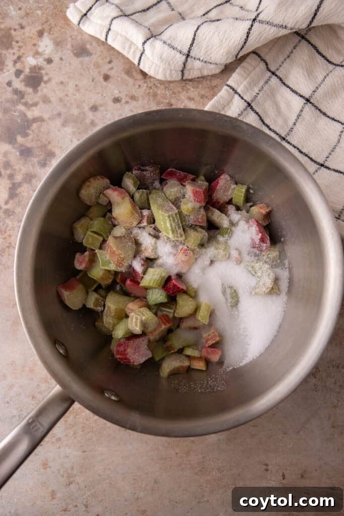Chopped rhubarb, sugar, and water in a saucepan before cooking.