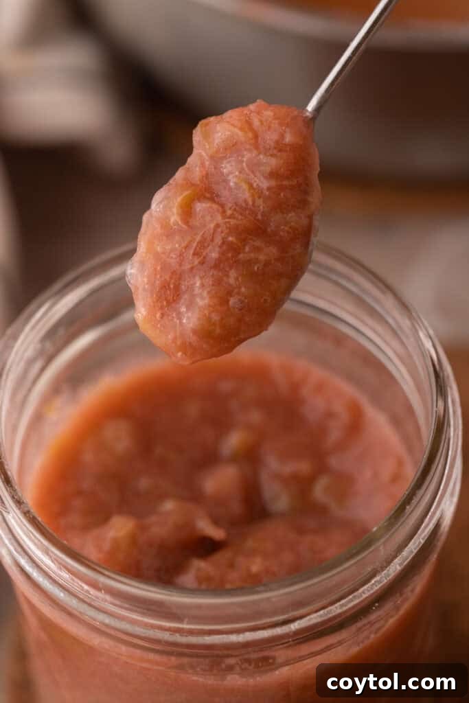Homemade Rhubarb Sauce Recipe in a glass jar with a spoon, showing its beautiful color and consistency.