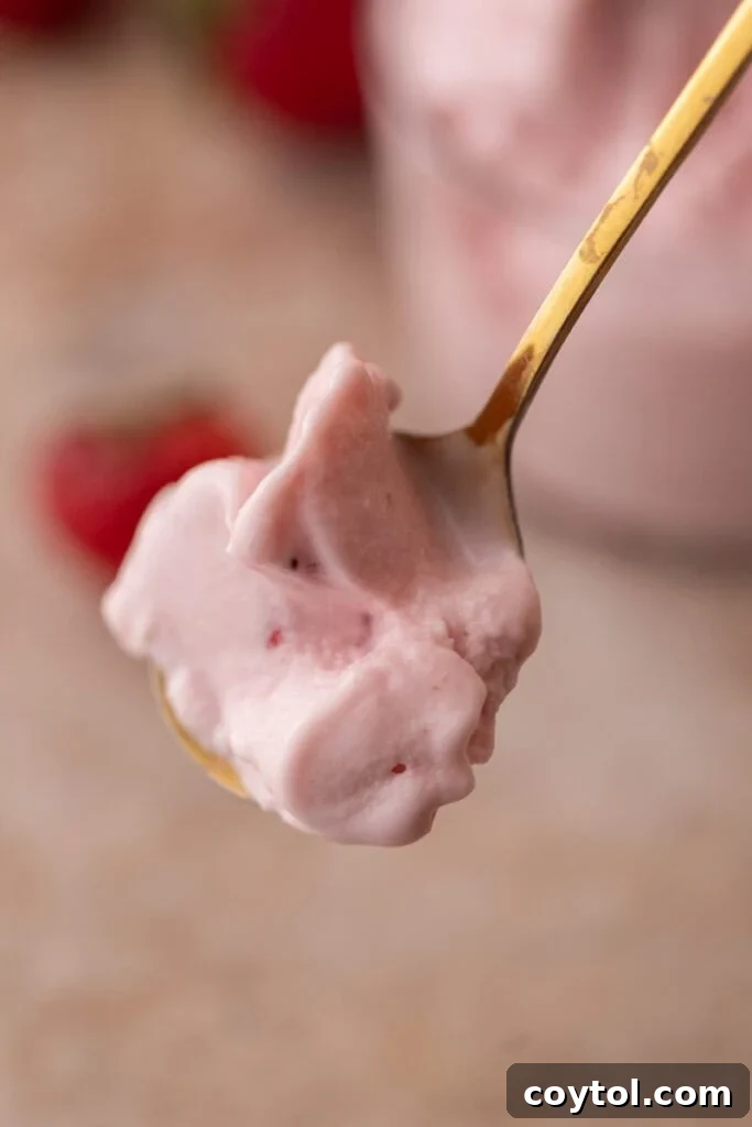 Effortless Strawberry Cottage Cheese Ice Cream with Ninja Creami 2 Spoonful of ninja creami strawberry cottage cheese ice cream