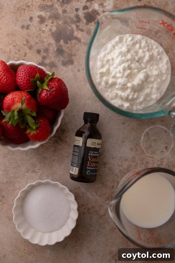 Effortless Strawberry Cottage Cheese Ice Cream with Ninja Creami 3 ingredients on the counter