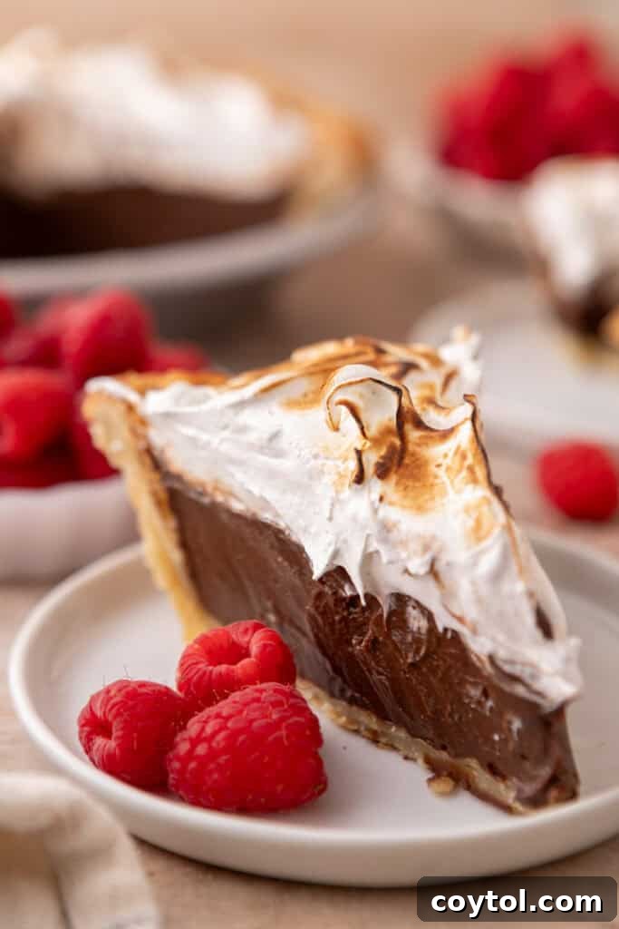 Fluffy Chocolate Meringue Pie Perfection 2 chocolate meringue pie slice overhead shot