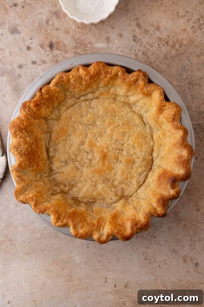 Fluffy Chocolate Meringue Pie Perfection 11 empty dessert shell