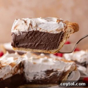 chocolate meringue pie slice on a serving spatula