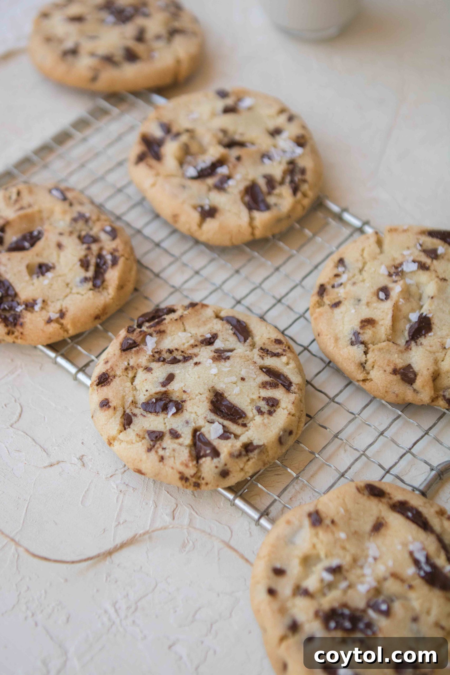 Brown Sugar Free Chocolate Chip Cookies 2 Crispy chocolate chip cookies made without brown sugar, perfect for a delightful treat.