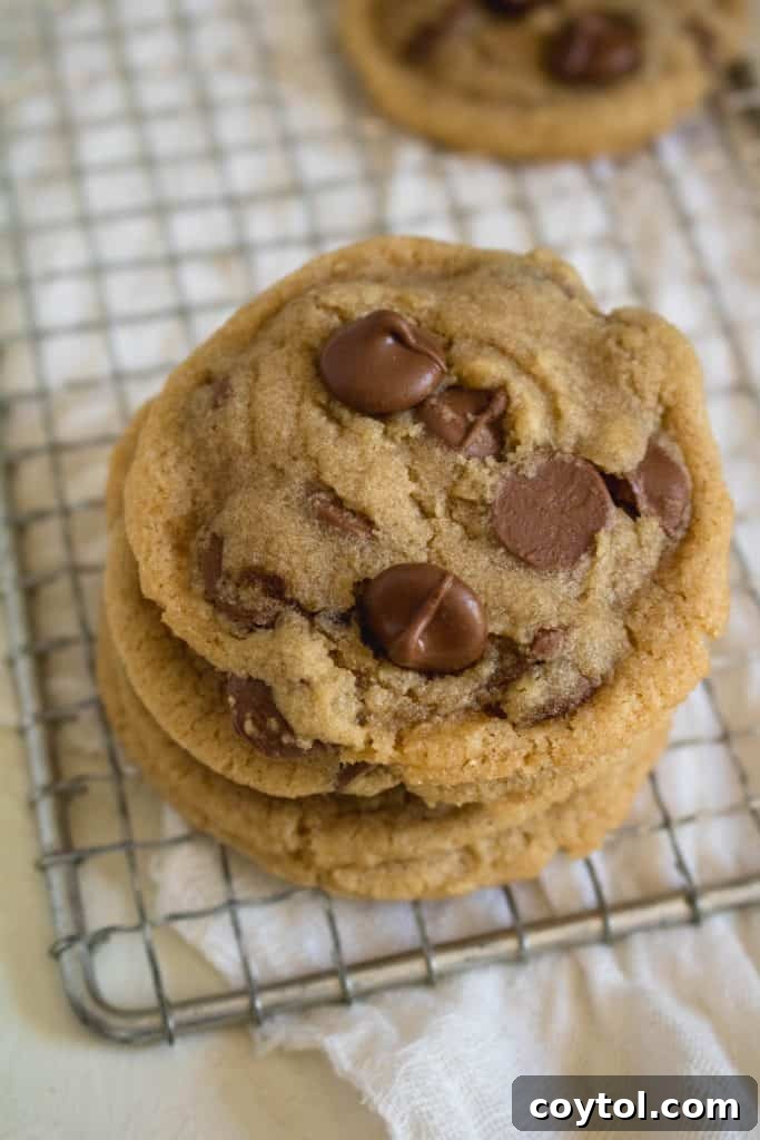 Brown Sugar Free Chocolate Chip Cookies 11 A small stack of perfectly soft and chewy small batch chocolate chip cookies.