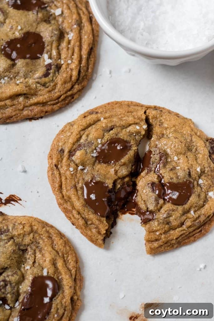 Brown Sugar Free Chocolate Chip Cookies 12 Chewy espresso chocolate chip cookies with melted chocolate pools.