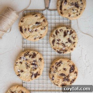 Brown Sugar Free Chocolate Chip Cookies 15 chocolate chip cookies without brown sugar