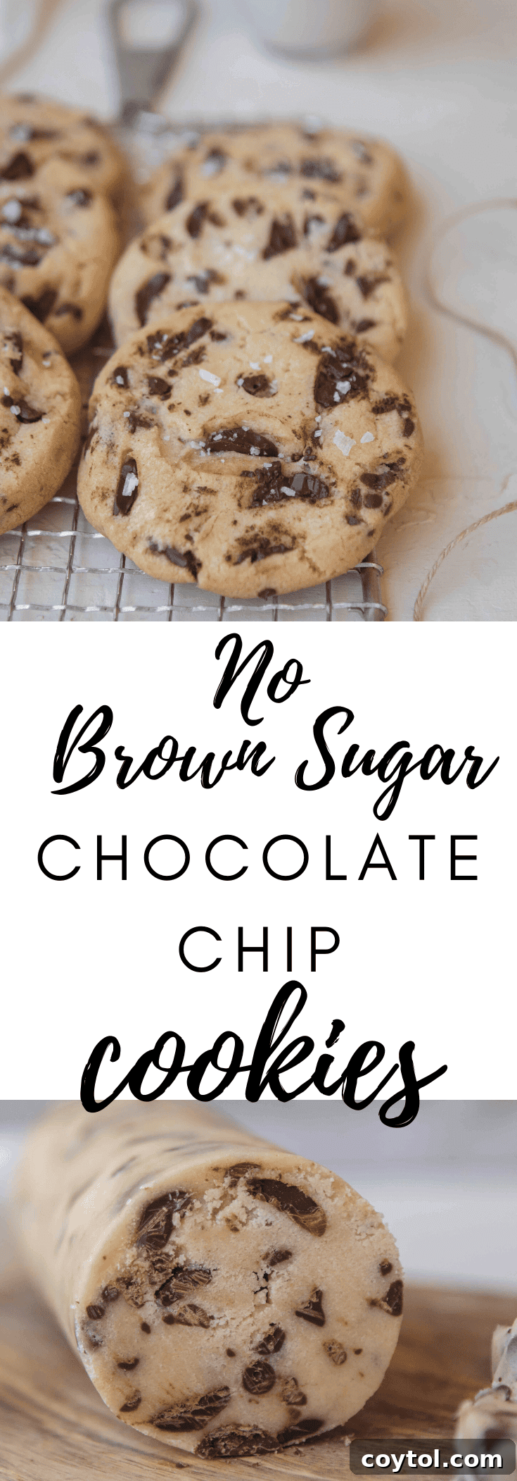 Brown Sugar Free Chocolate Chip Cookies 16 Pinterest graphic: Easy Chocolate Chip Cookies without Brown Sugar recipe card.