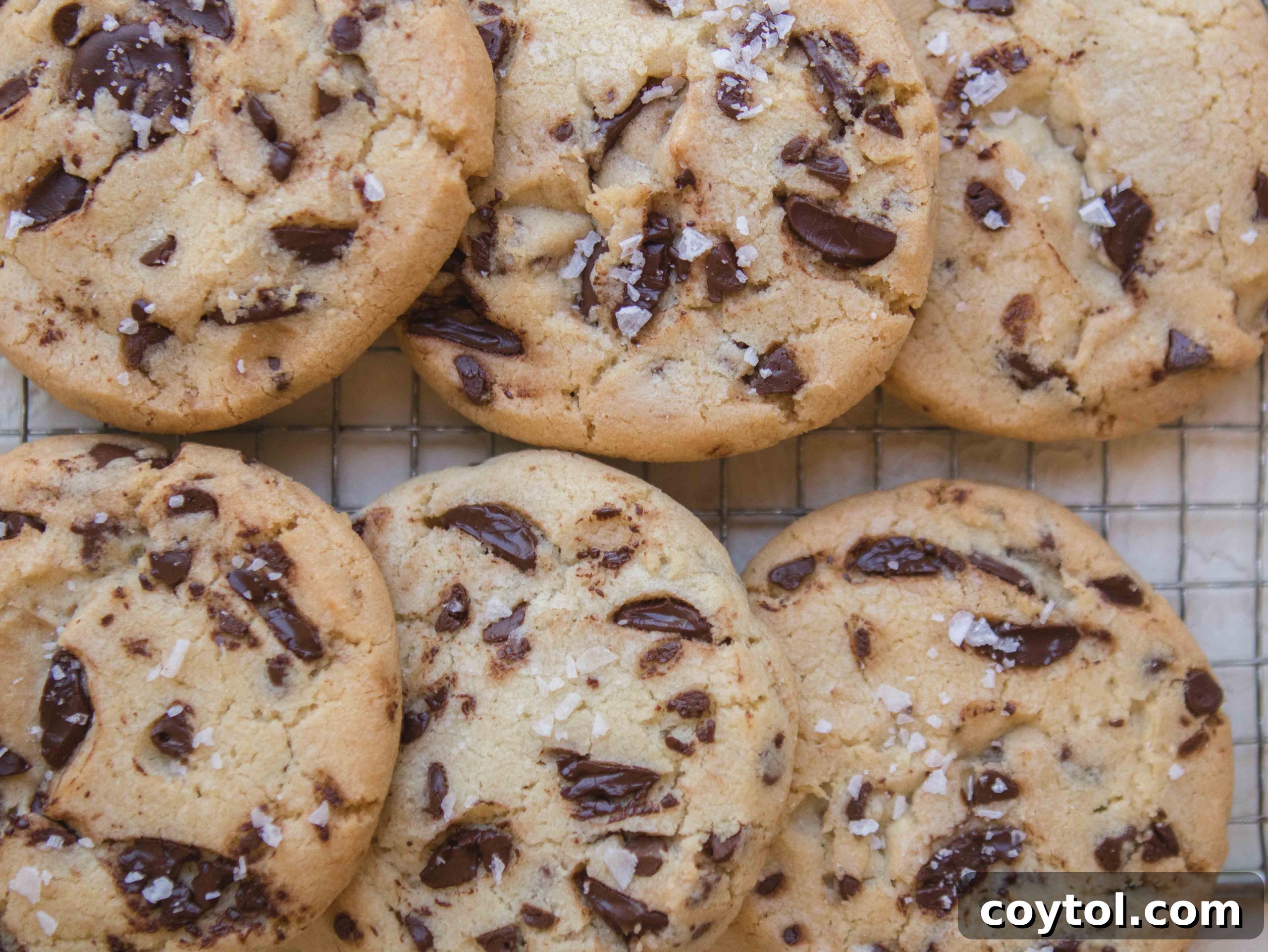 Brown Sugar Free Chocolate Chip Cookies 3 Close-up of crispy chocolate chip cookies without brown sugar, showcasing their golden edges and melt-in-your-mouth texture.