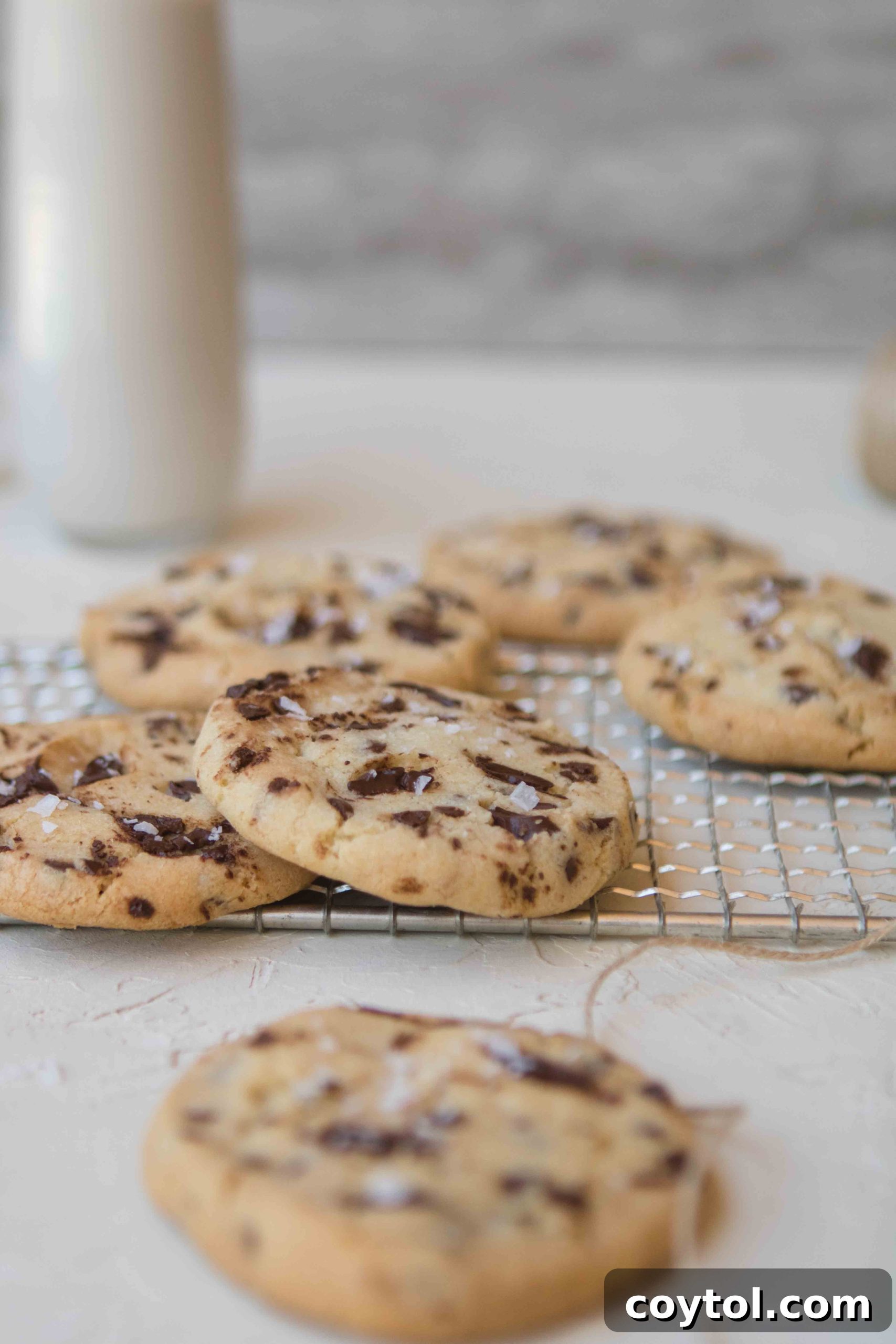 Brown Sugar Free Chocolate Chip Cookies 4 A batch of golden no brown sugar chocolate chip cookies cooling on a wire rack.