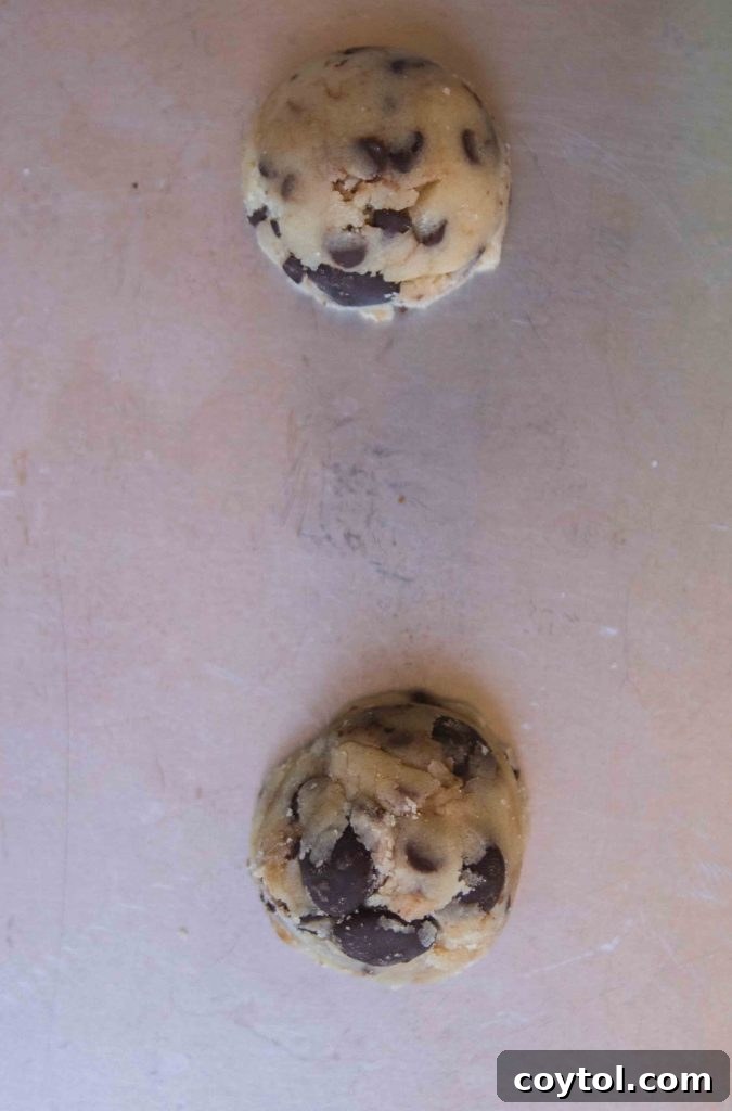 Brown Sugar Free Chocolate Chip Cookies 8 Rustic, scooped no brown sugar chocolate chip cookies on a baking tray.