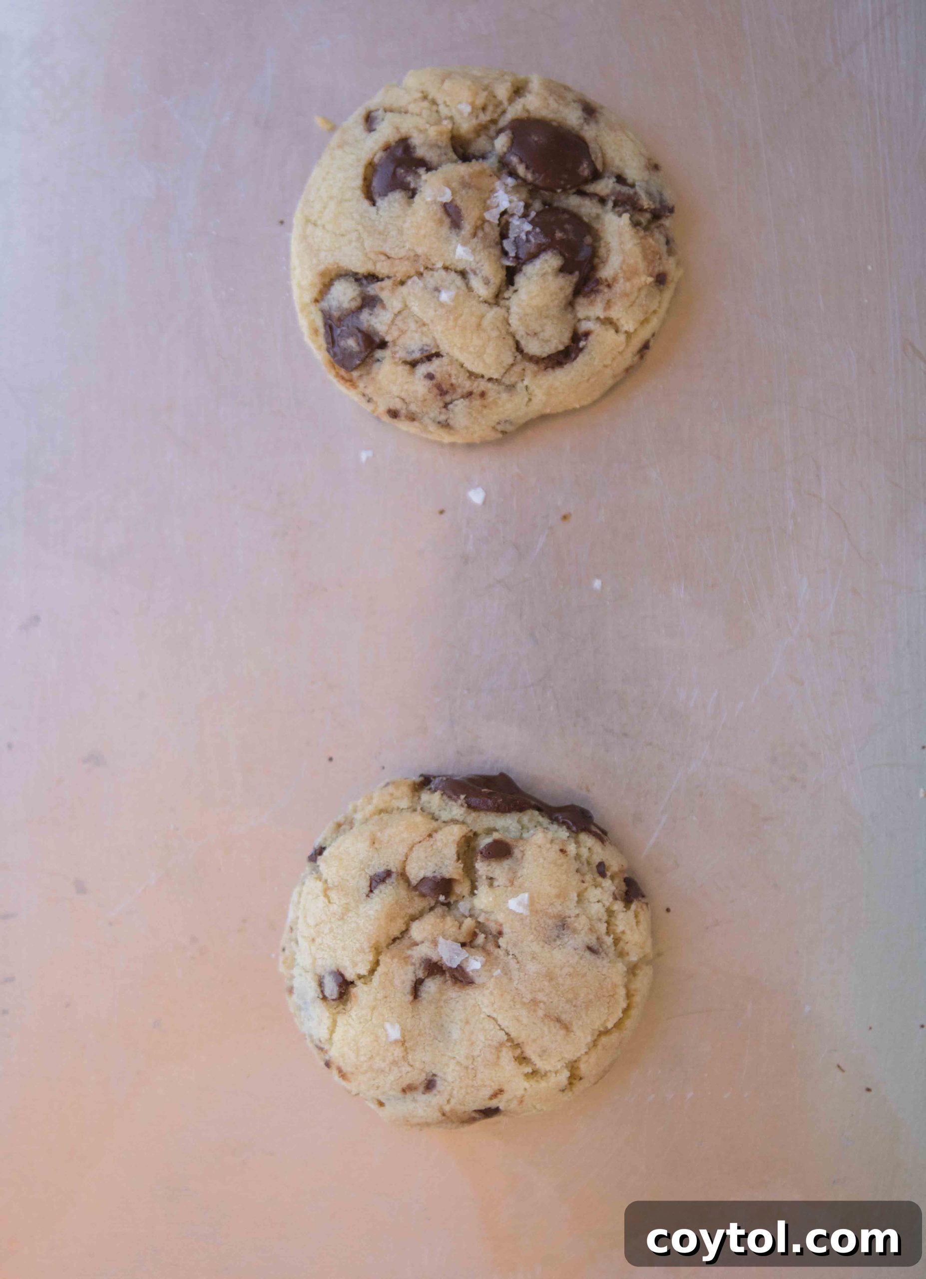 Brown Sugar Free Chocolate Chip Cookies 9 Another view of the uniquely shaped scooped chocolate chip cookies.