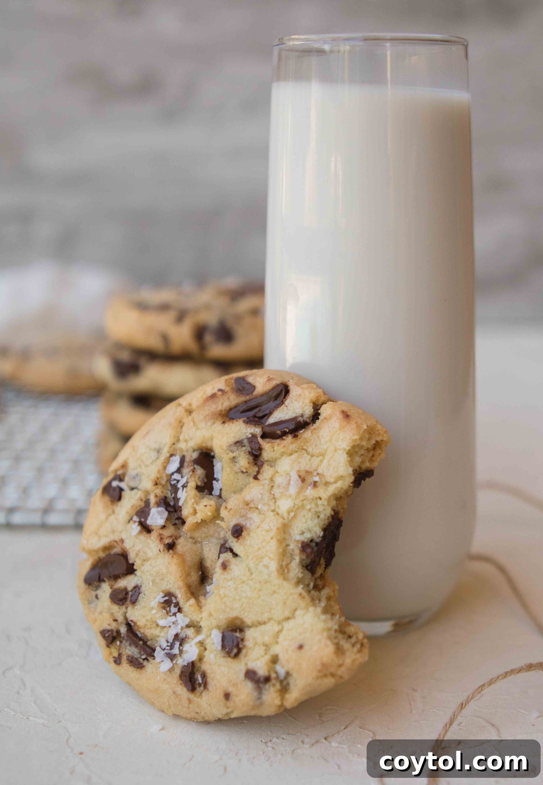 Brown Sugar Free Chocolate Chip Cookies 10 A stack of perfectly crispy chocolate chip cookies ready to be enjoyed.