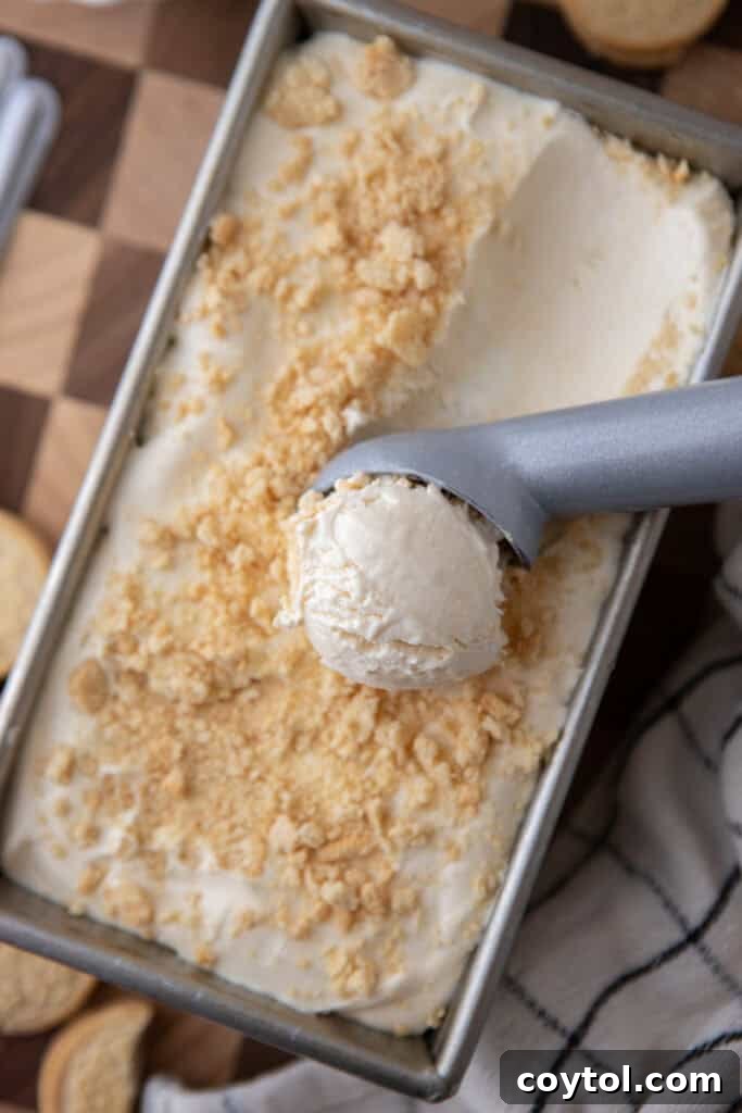 ingredients in a container getting scooped