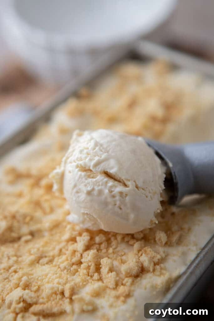No-Churn Cream Cheese Ice Cream recipe getting scooped