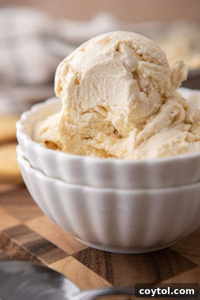 No-Churn Cream Cheese Ice Cream recipe in a bowl