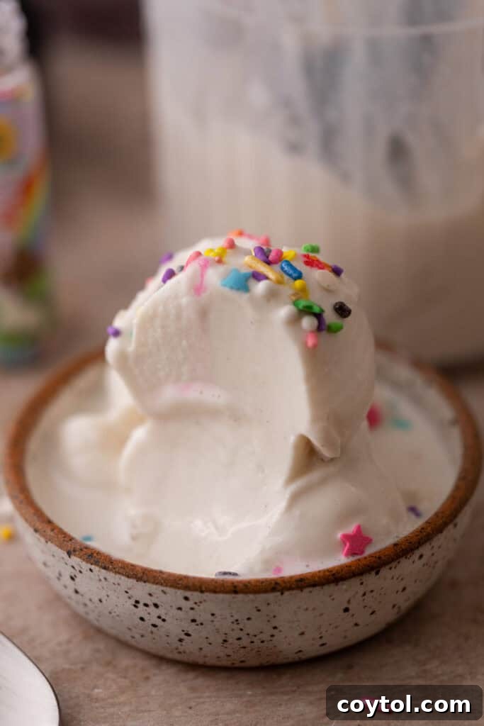 Creamy High-Protein Cottage Cheese Ninja Creami Ice Cream in a bowl, garnished with fresh berries