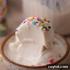 Cottage Cheese Ninja Creami Ice Cream in a bowl, ready to be enjoyed