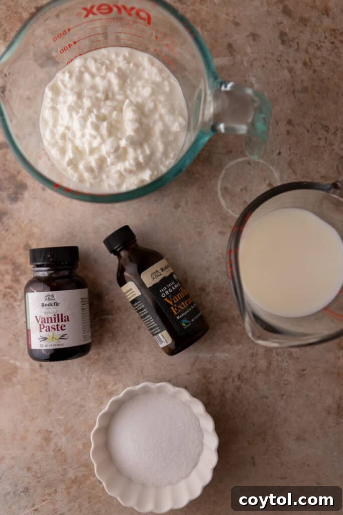 Fresh ingredients for high-protein cottage cheese Ninja Creami ice cream: cottage cheese, milk, vanilla extract, and sweetener