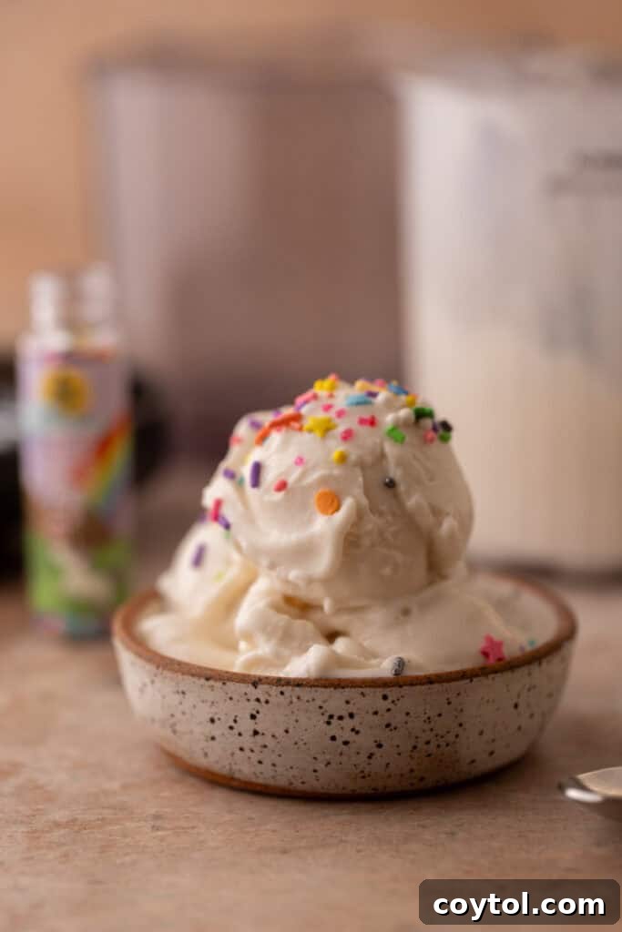 Close-up of creamy high-protein cottage cheese Ninja Creami ice cream in a white bowl