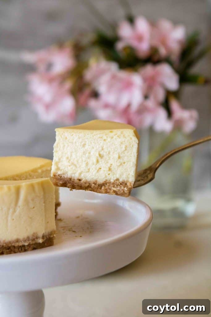 Slice of 4-inch mini New York style cheesecake with creamy cheesecake filling and graham cracker crust