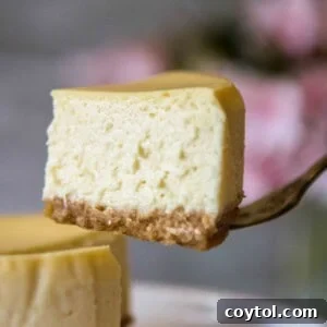 4-inch mini cheesecake recipe