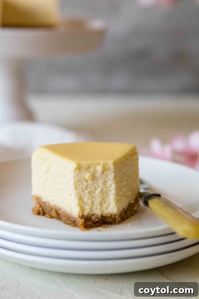 Side view of mini cheesecake slice with thick graham cracker crust