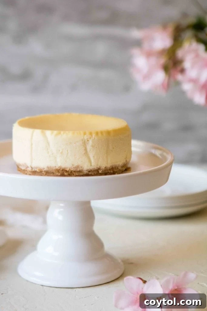 Whole 4-inch mini cheesecake on a cake stand with smooth top and graham cracker crust