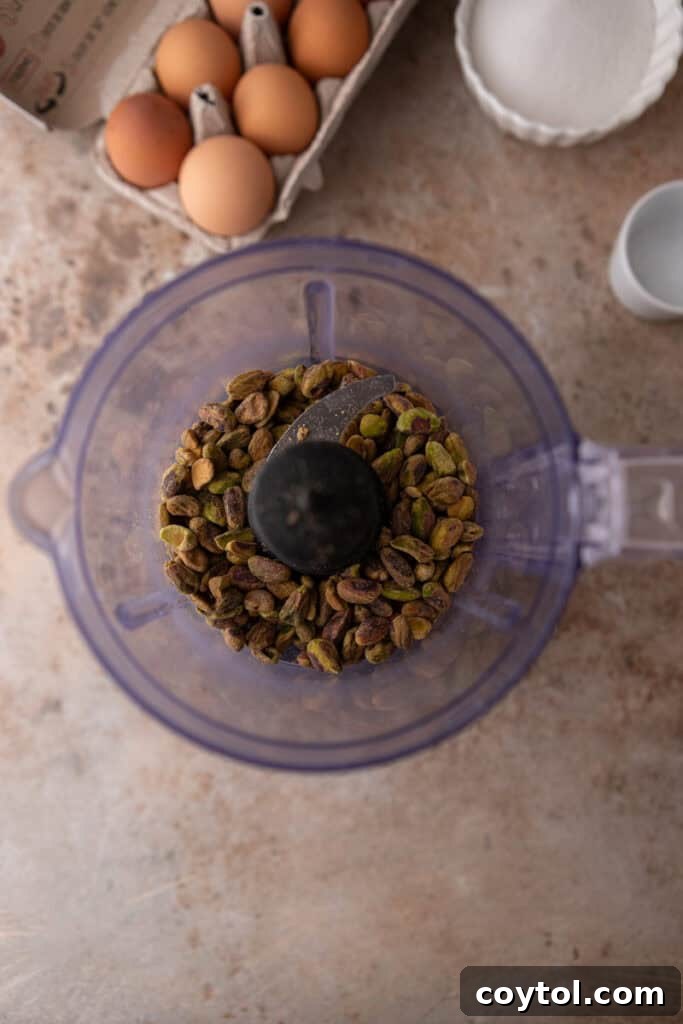 Crafting the Ultimate Homemade Pistachio Ice Cream 5 Pistachios in a food processor, beginning to break down