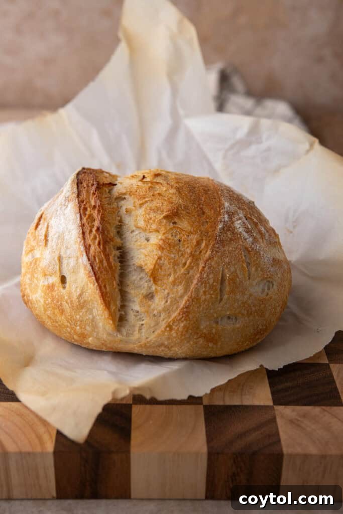 Freshly baked Same Day Sourdough Bread on top of parchment paper, showcasing its golden crust and unique scoring pattern.
