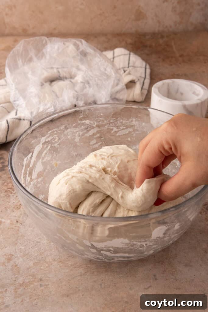 Sourdough dough after several stretch and folds, showing increased elasticity.