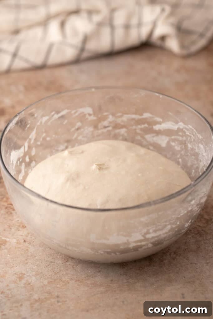 A closer look at the airy and expanded sourdough dough in the bowl.