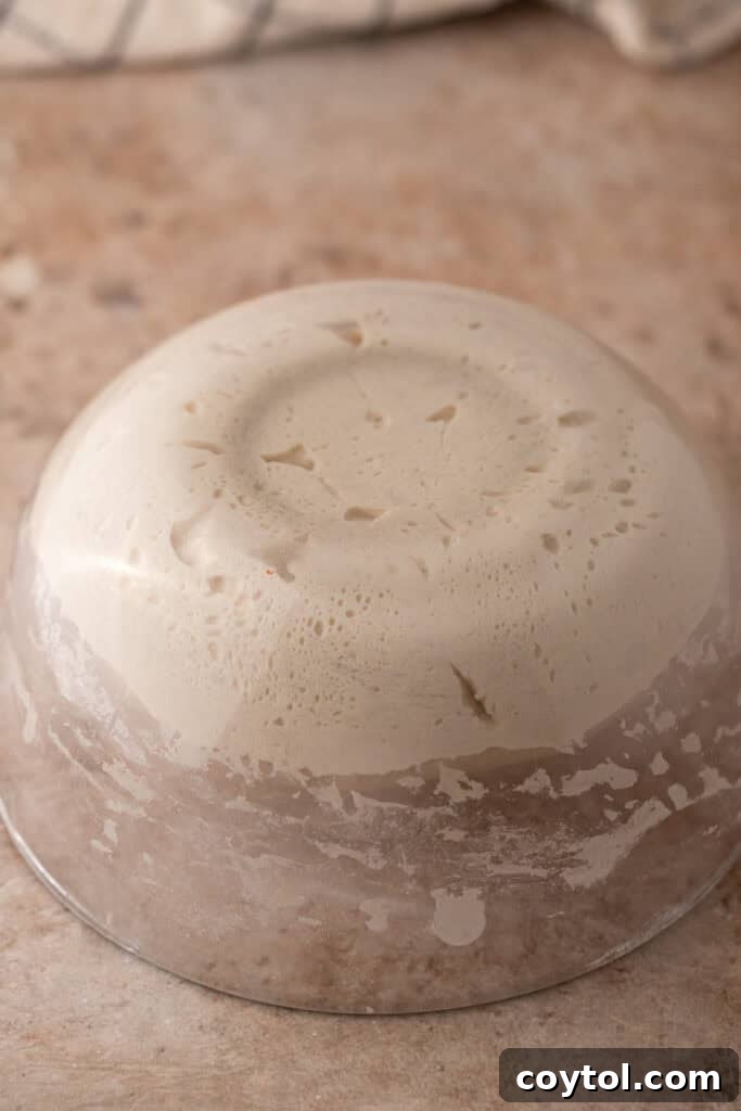 Sourdough dough being gently turned out onto a lightly floured countertop.