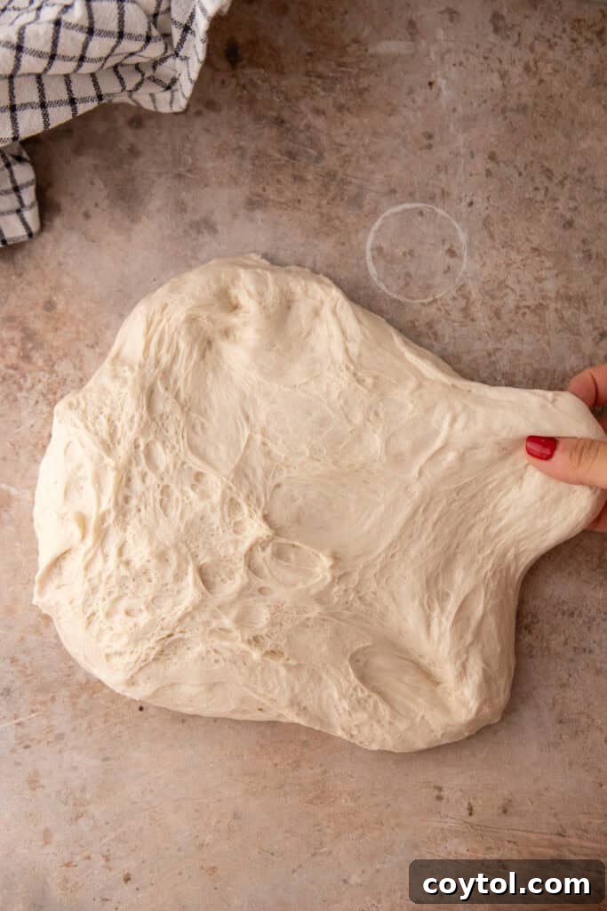 Sourdough dough gently stretched and pulled during the initial pre-shaping phase.