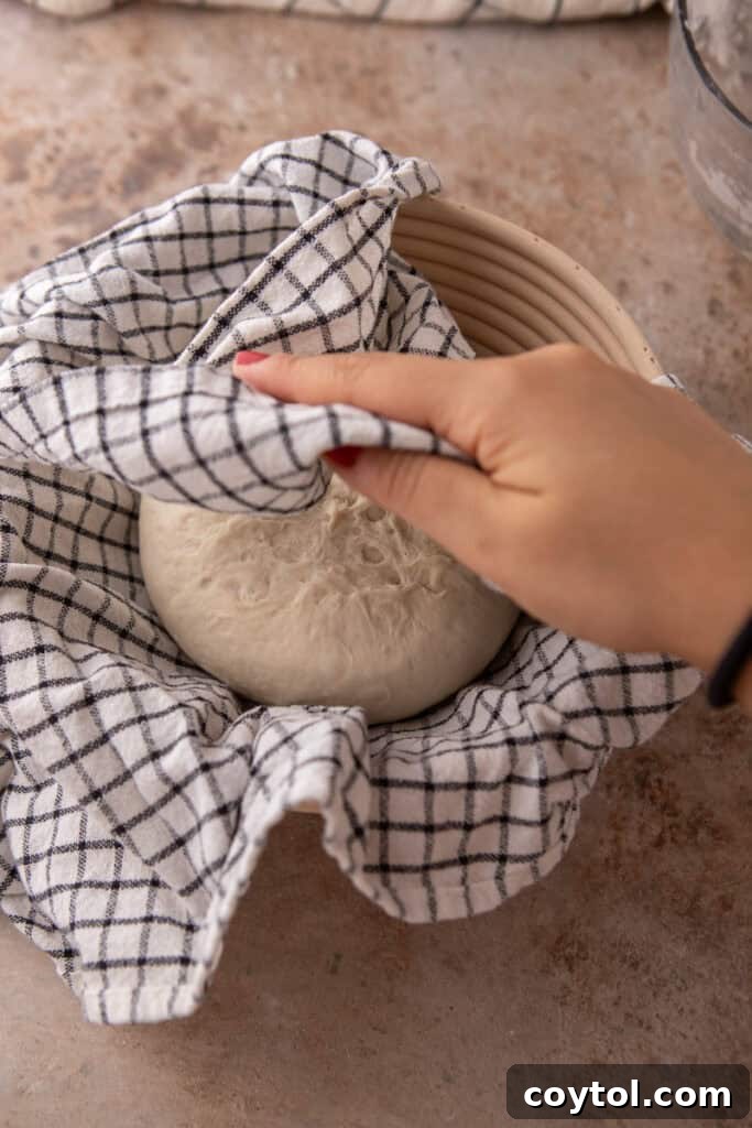 Same day sourdough bread dough resting in a banneton basket, seam-side up, covered.