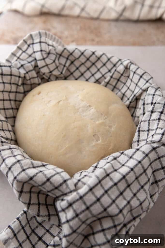 Another view of the sourdough dough proofing in a basket, showing its gradual rise.