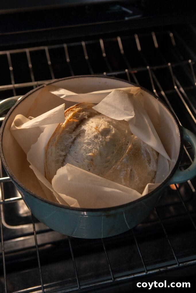 Same day sourdough bread baking inside a Dutch oven, lid on.