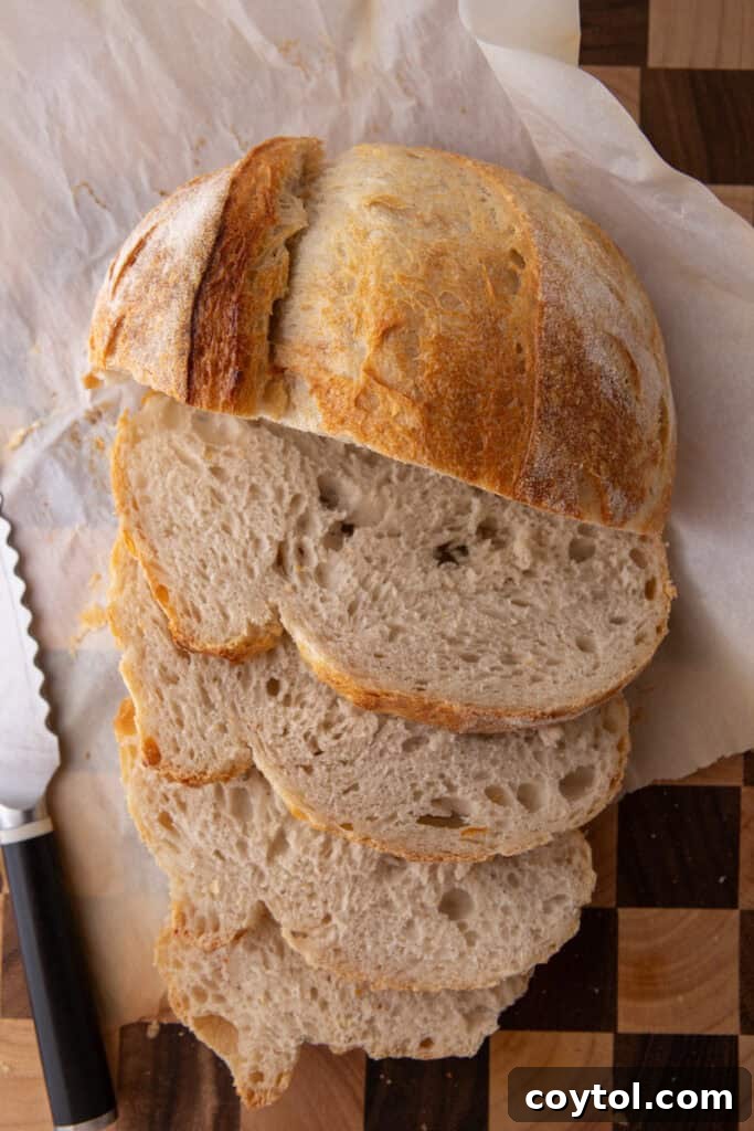 Overhead shot of a beautifully scored, unbaked same day sourdough bread loaf, ready for the oven.