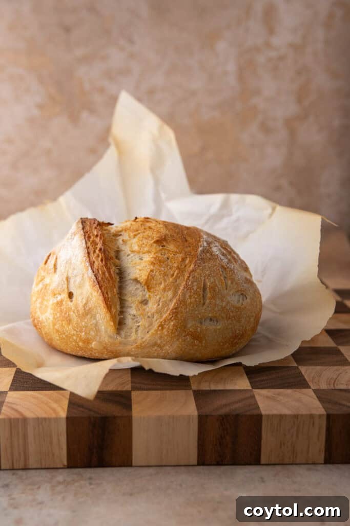 A same day sourdough bread loaf artfully placed on parchment paper, ready for its close-up.