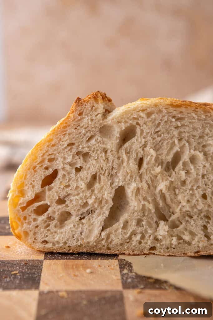 Side shot of a perfectly baked same day sourdough bread loaf, showcasing its height and scoring.