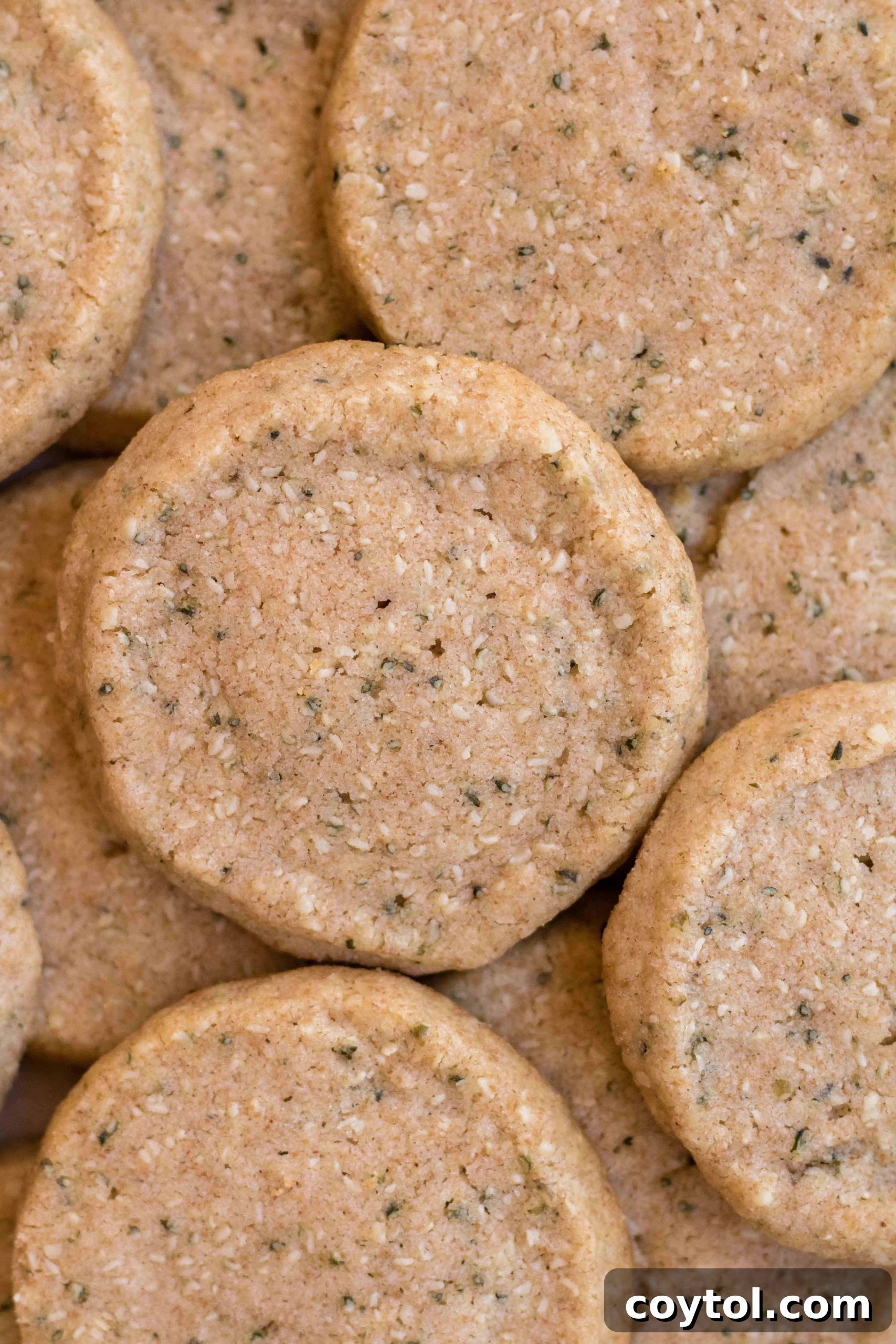 French butter cookies